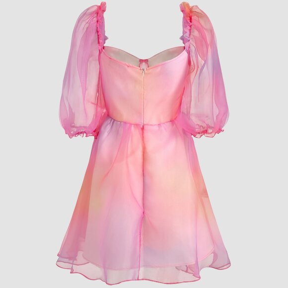 NWT Cider Heart on Fire Pink Ombre Tulle Dress (Size M / 6) - Picture 4 of 9
